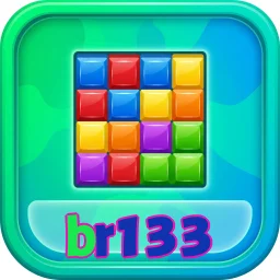 br133